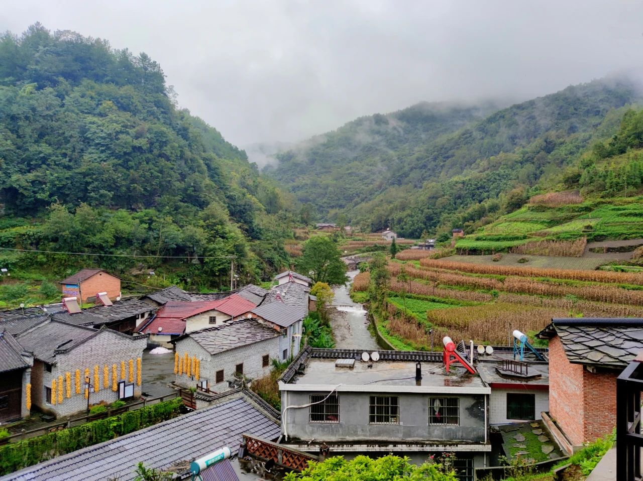 1697187920790862.jpeg 1697187920790862.jpeg