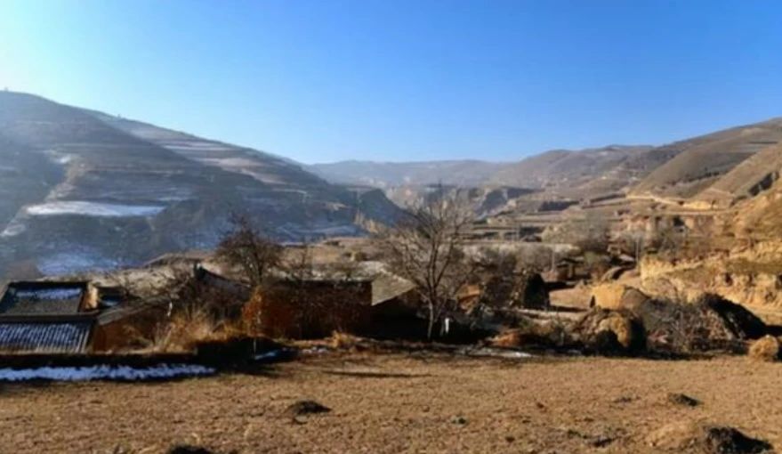 1698660242401798.jpeg 1698660242401798.jpeg