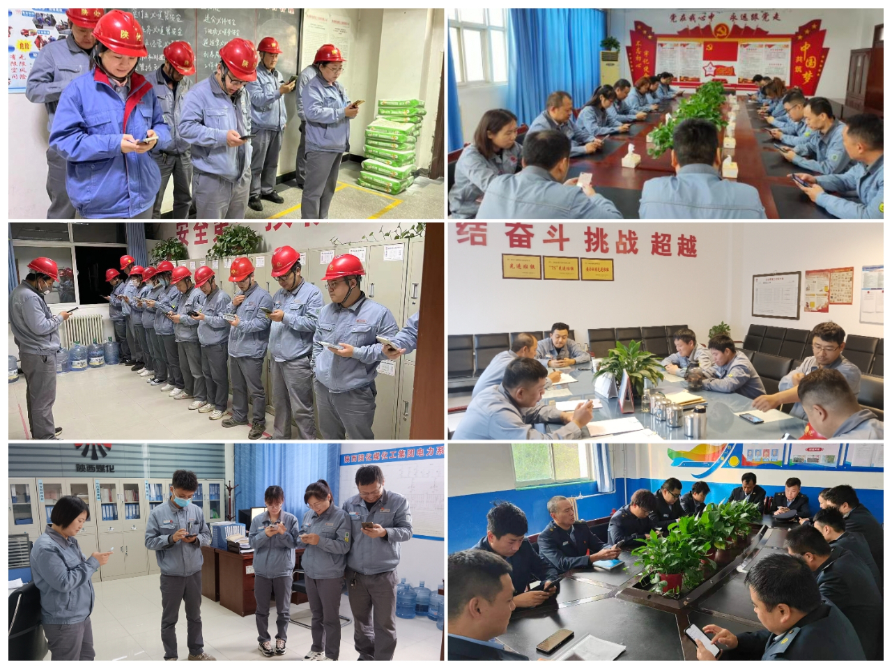 1699356842199649.jpeg 1699356842199649.jpeg