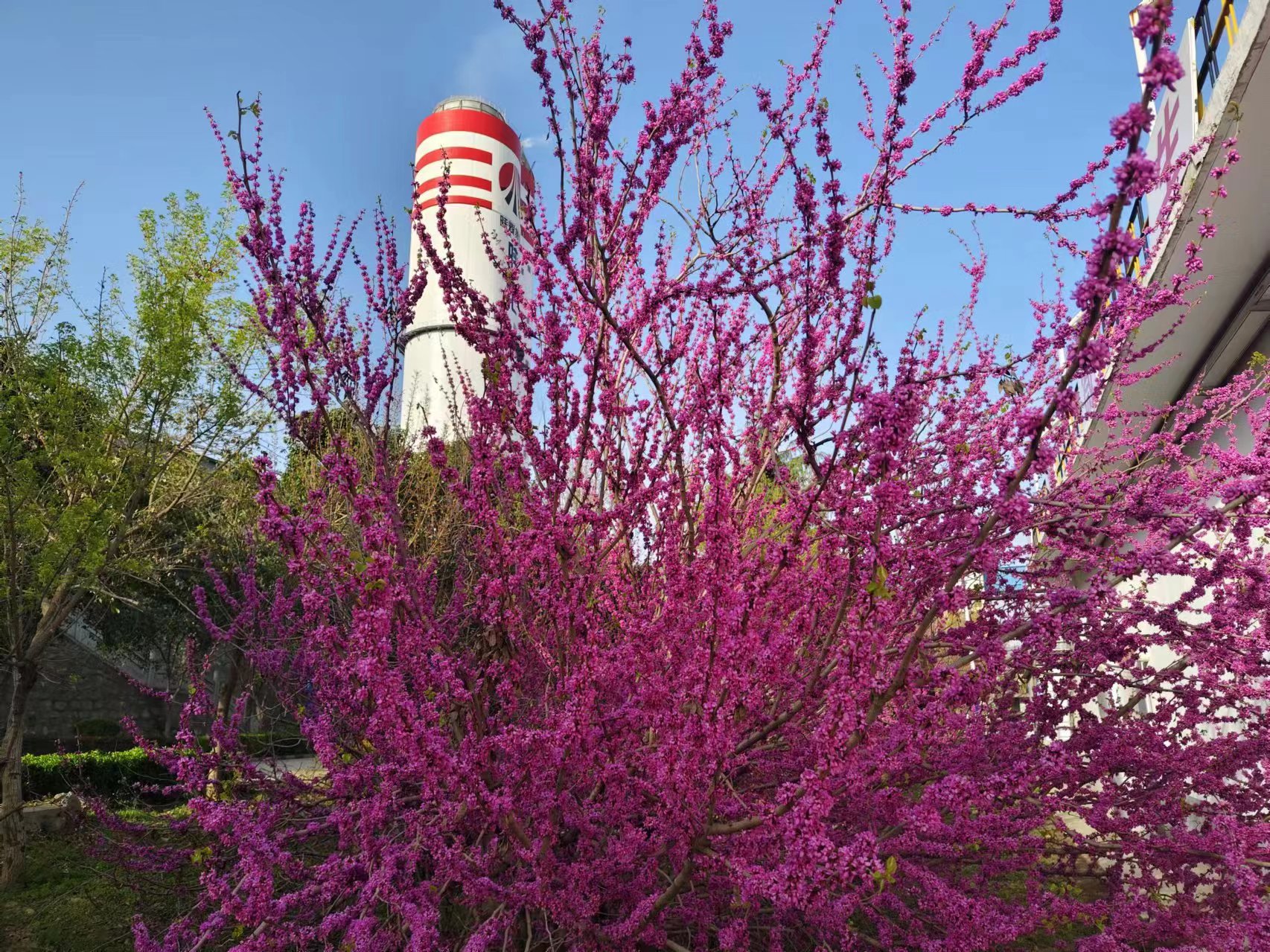 1712630562212663.jpeg 1712630562212663.jpeg