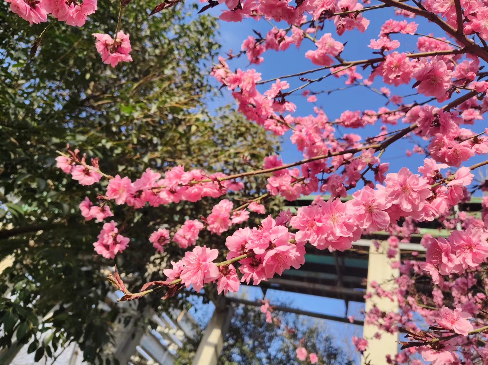 1712630588252689.jpeg 1712630588252689.jpeg