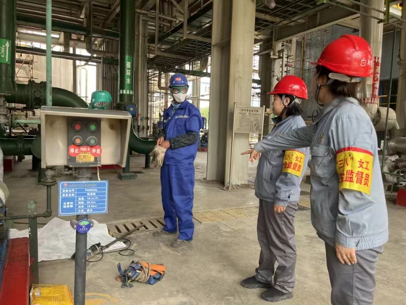 1715903068161987.jpeg 1715903068161987.jpeg