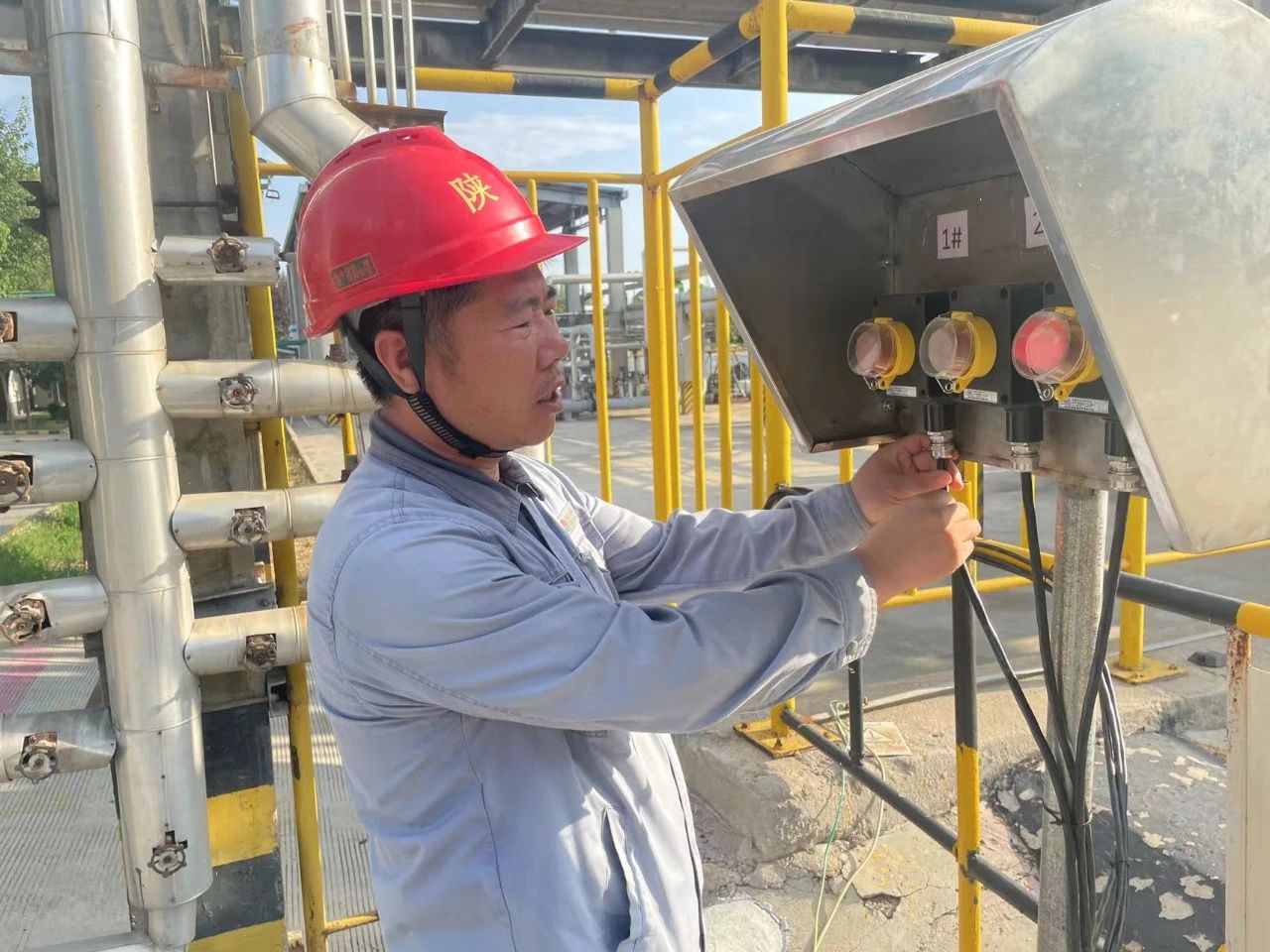 1728439844645231.jpeg 1728439844645231.jpeg