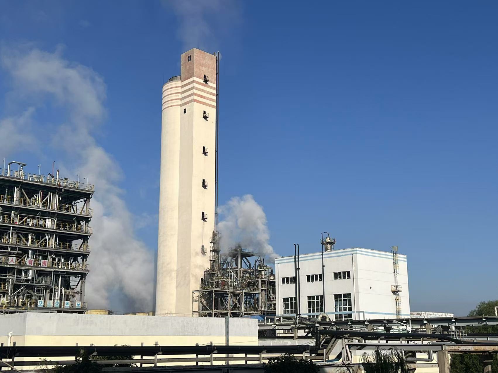 1732669770853711.jpeg 1732669770853711.jpeg