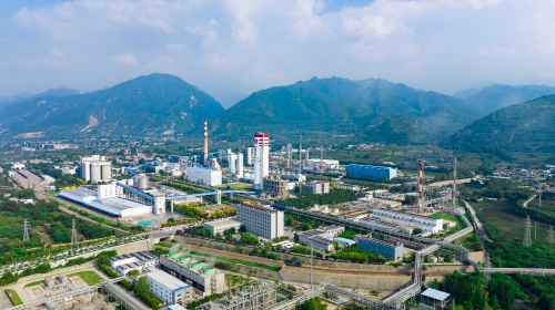 1737095167909342.jpeg 1737095167909342.jpeg