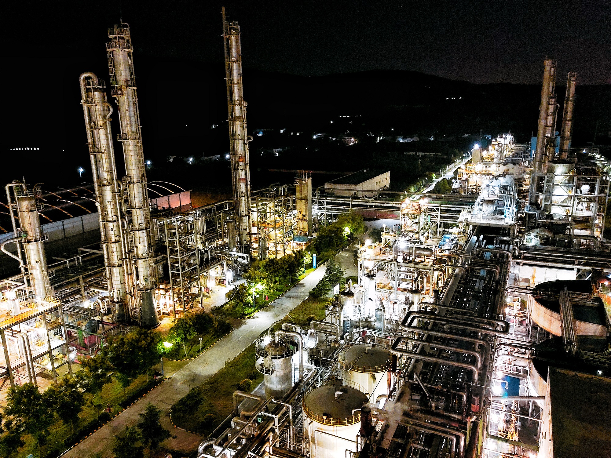 1737095317870124.jpeg 1737095317870124.jpeg