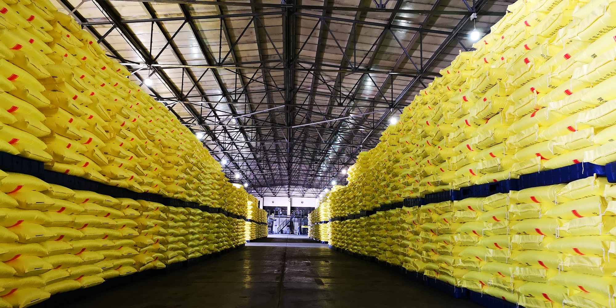 1737095416509194.jpeg 1737095416509194.jpeg