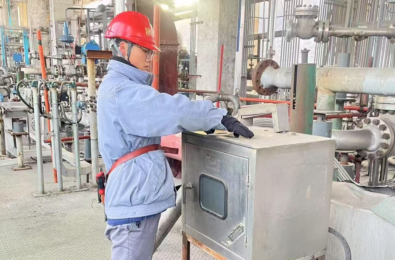 1739440646588167.jpeg 1739440646588167.jpeg