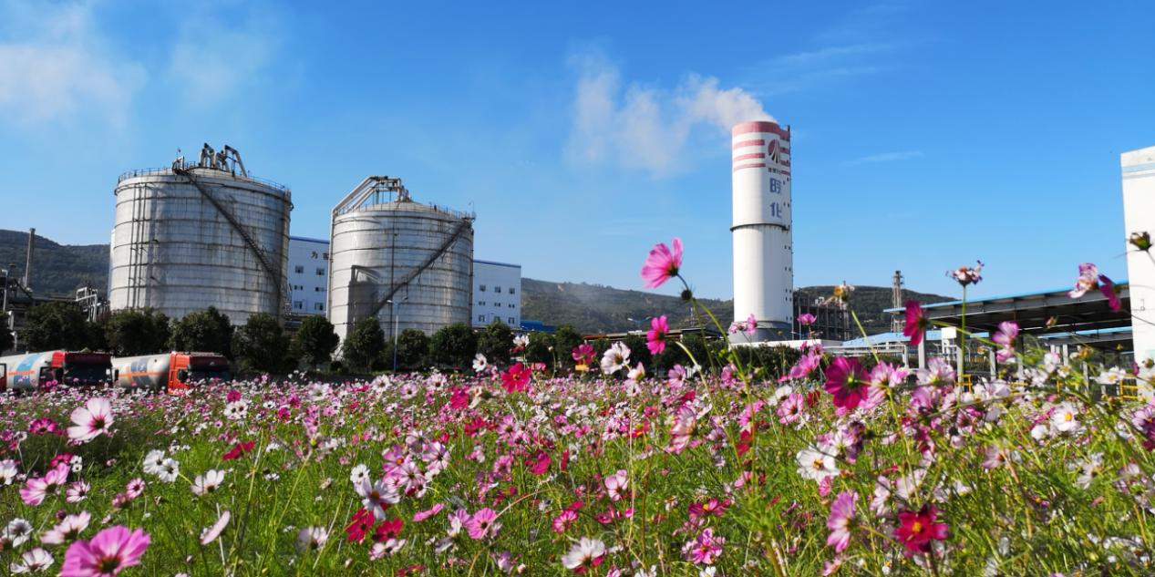 1741833067448032.png 1741833067448032.png