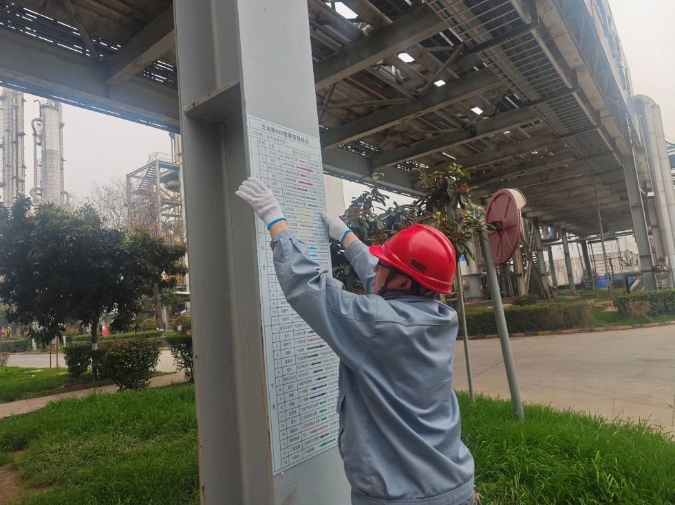 1742808686140296.jpeg 1742808686140296.jpeg