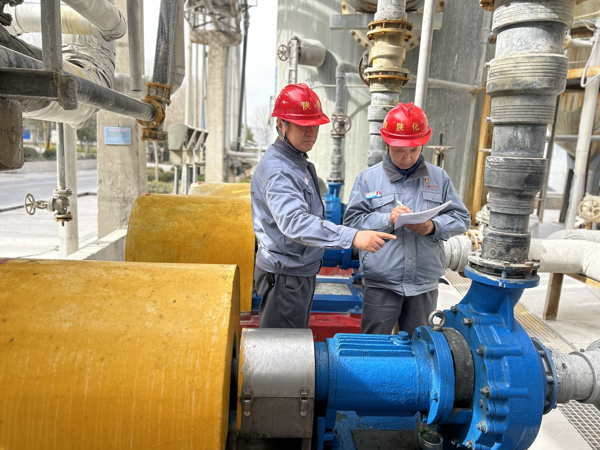 1743034822644304.jpeg 1743034822644304.jpeg