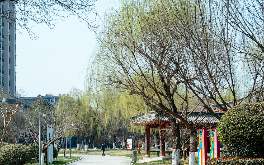 1743060777953914.png 1743060777953914.png