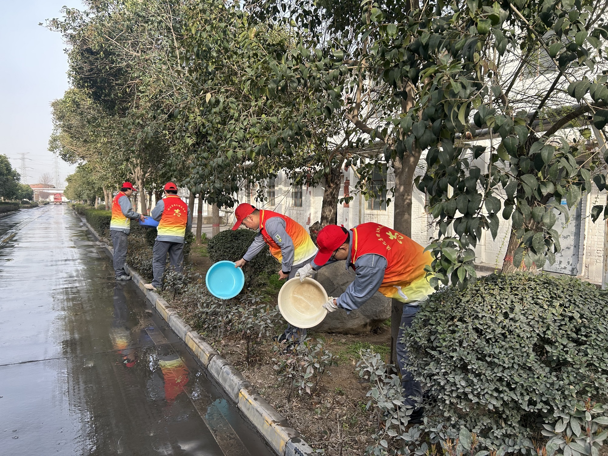 1744095893376982.jpeg 1744095893376982.jpeg