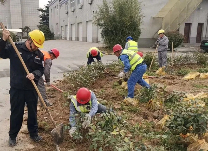 1744106010395510.jpeg 1744106010395510.jpeg