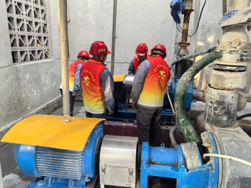 1744158700616931.jpeg small (2).jpg