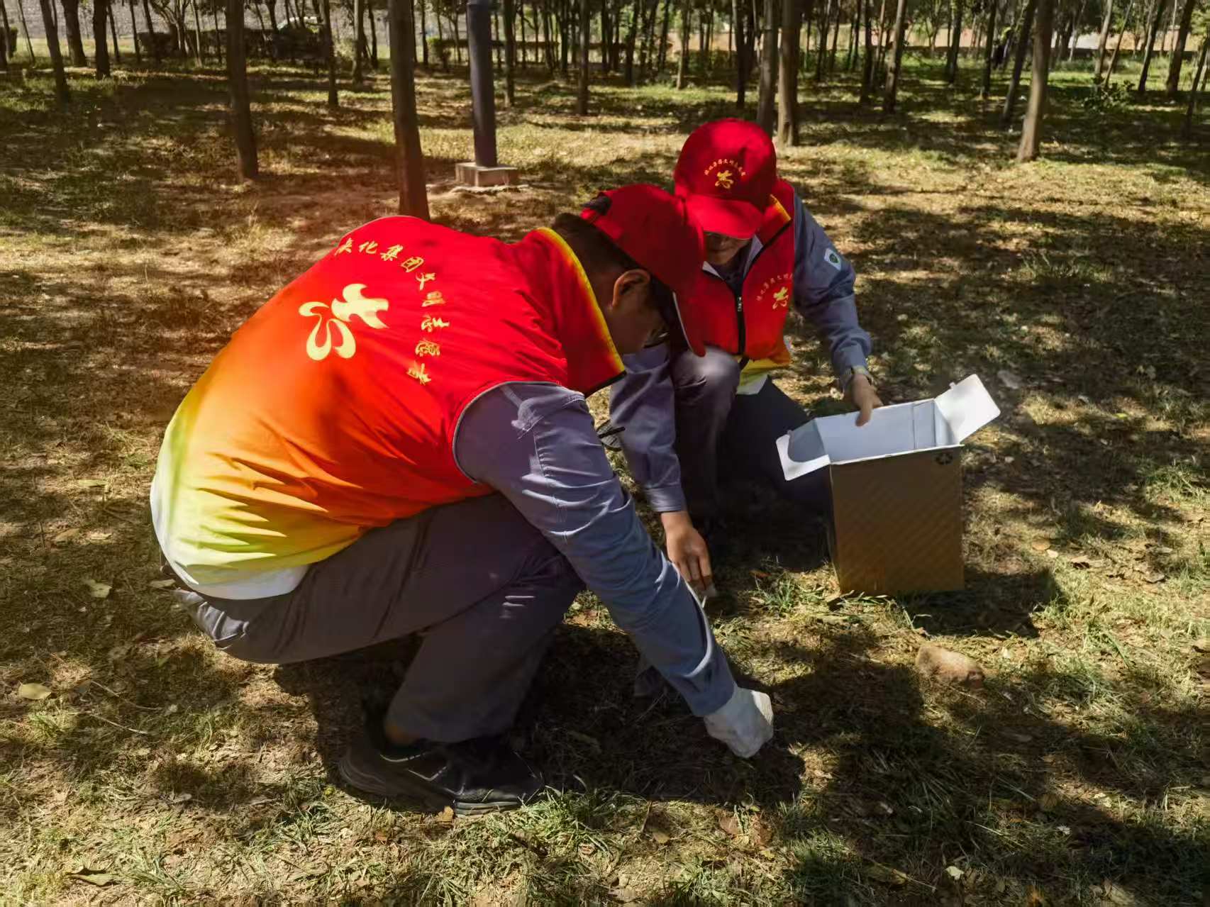 1750407215677455.jpeg 1750407215677455.jpeg