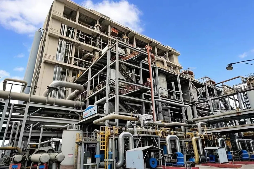 1751018203285806.jpeg 1751018203285806.jpeg