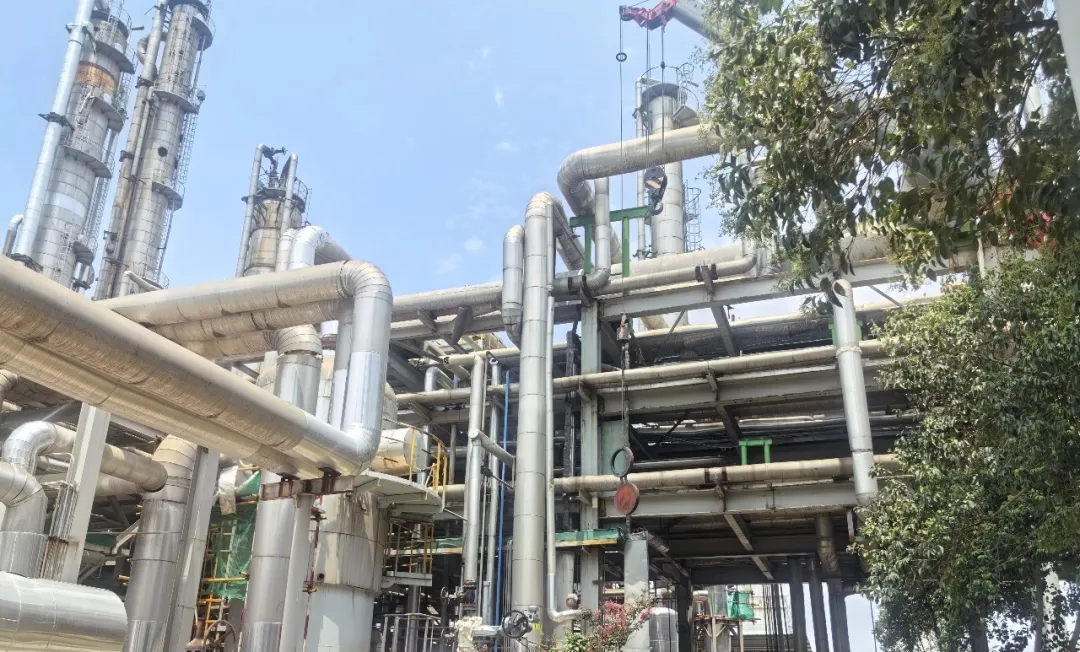 1752829719816437.jpeg 1752829719816437.jpeg