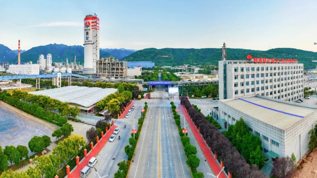 1753064949115301.jpeg 1753064949115301.jpeg