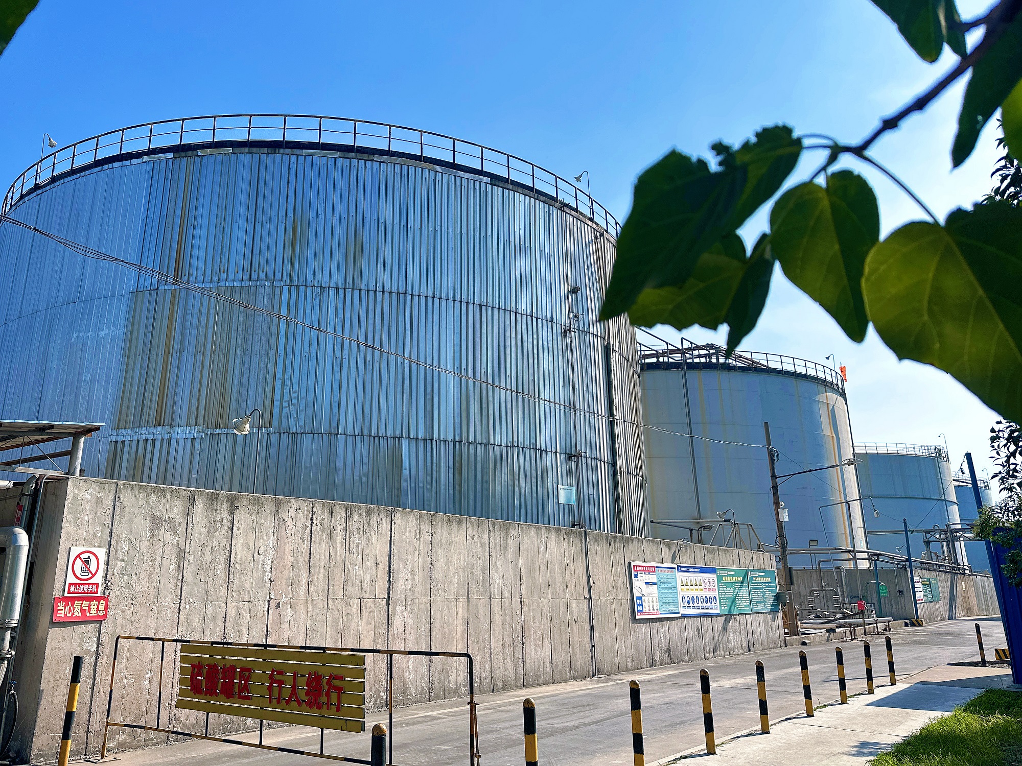 1755246771536533.jpeg 1755246771536533.jpeg